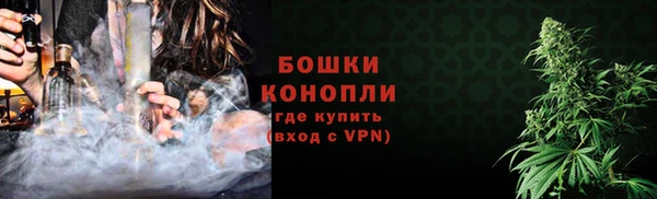сатива Новокубанск