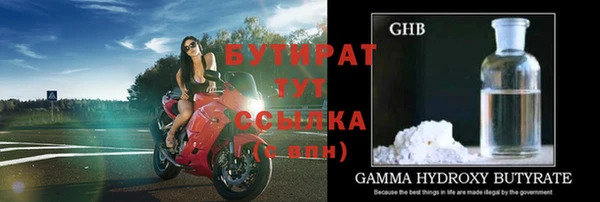 сатива Новокубанск