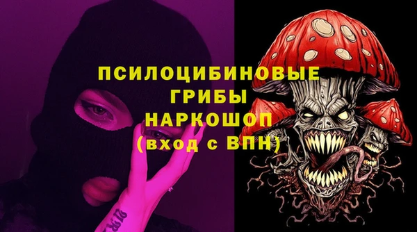 mdma Новозыбков