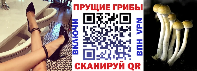 shop наркотические препараты  Пестово  Галлюциногенные грибы мицелий  ссылка на мегу онион 